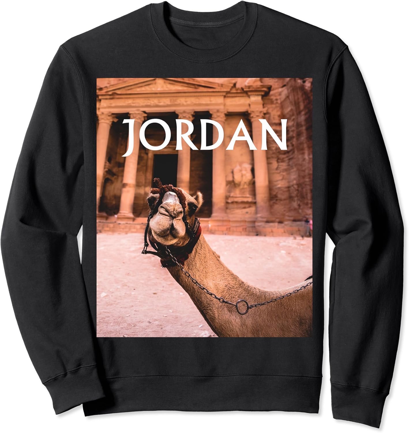 trendyol jordan sweatshirt